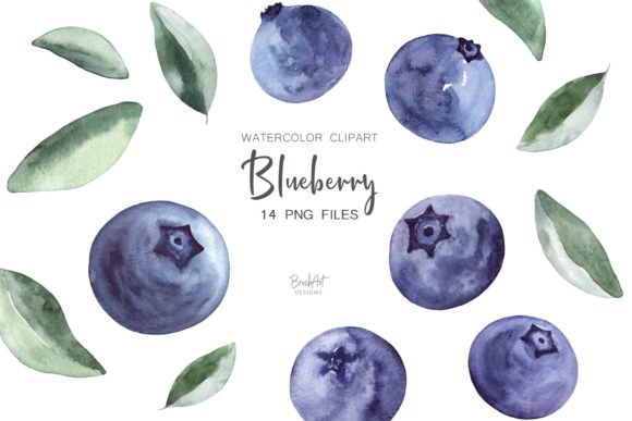 Download Blueberries Watercolor Clipart - Premium Resources