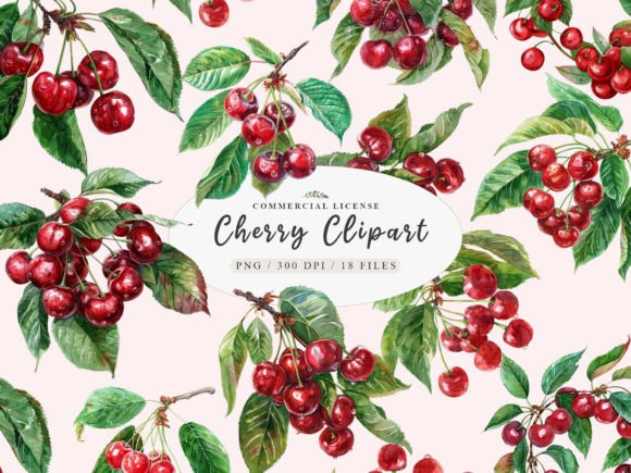 Download Cherry Fruit Clipart, Berries Cherry - Art Collection