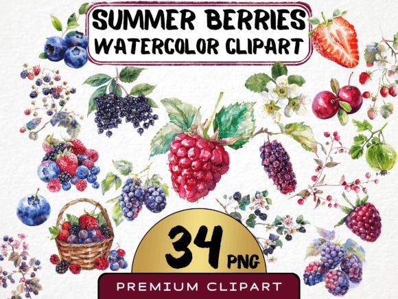 Download Watercolor Berries Clipart Bundle - Art Collection