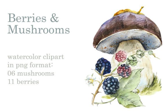 Download Berries &amp; Mushrooms Clipart - Art Collection