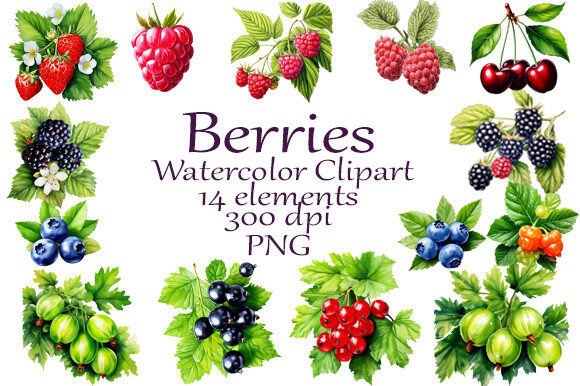 Download Watercolor Clipart Summer Berries - Art Collection